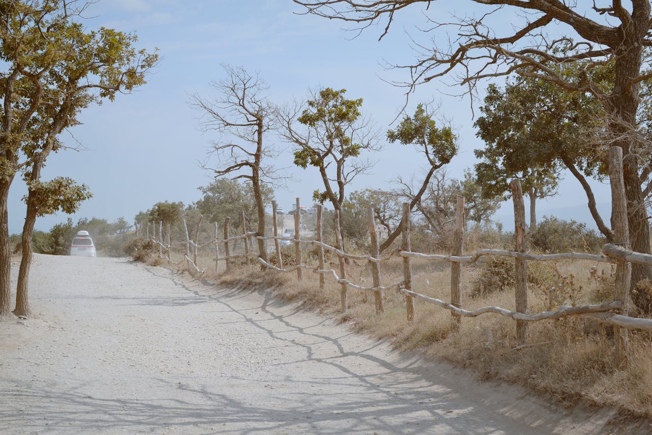 Spot van Gironde itinéraire road trip entre océan et vignobles